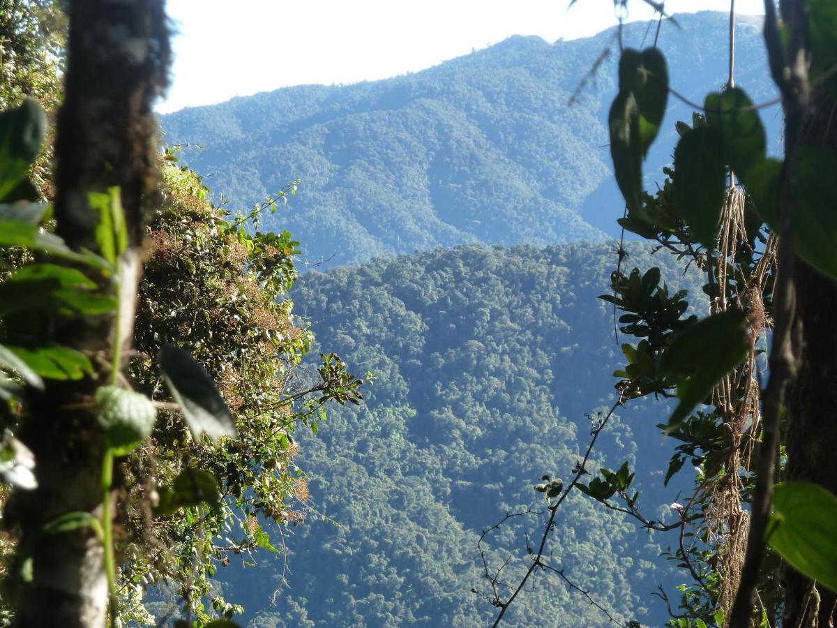 Patricia And Ned'S Cloud Forest Farm Cotacachi Ngoại thất bức ảnh
