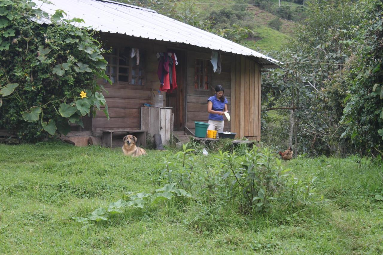 Patricia And Ned'S Cloud Forest Farm Cotacachi Ngoại thất bức ảnh